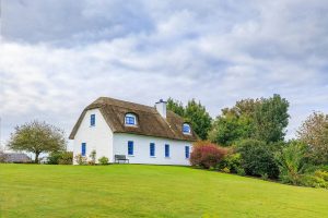 The Ultimate Guide to Renting in Ireland in 2025 (Step-by-Step for First-Time Renters)