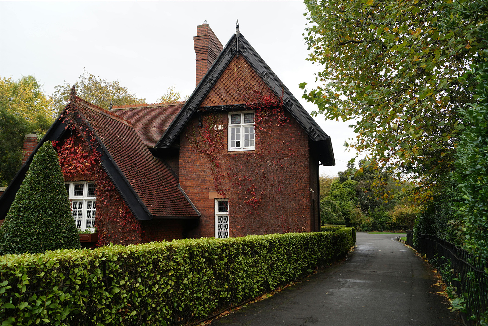 How to Rent a House in Ireland from Pakistan: A Complete Guide to Standing Out as a Tenant