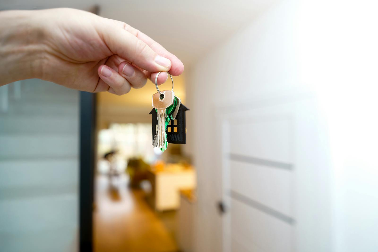 Why Students Across Ireland Use Tenantin.ie to Secure Their College Housing
