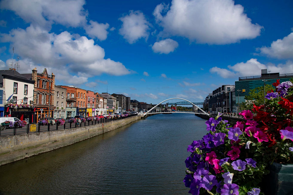 Tenant Tips for Renting in Louth (Drogheda, Dundalk)