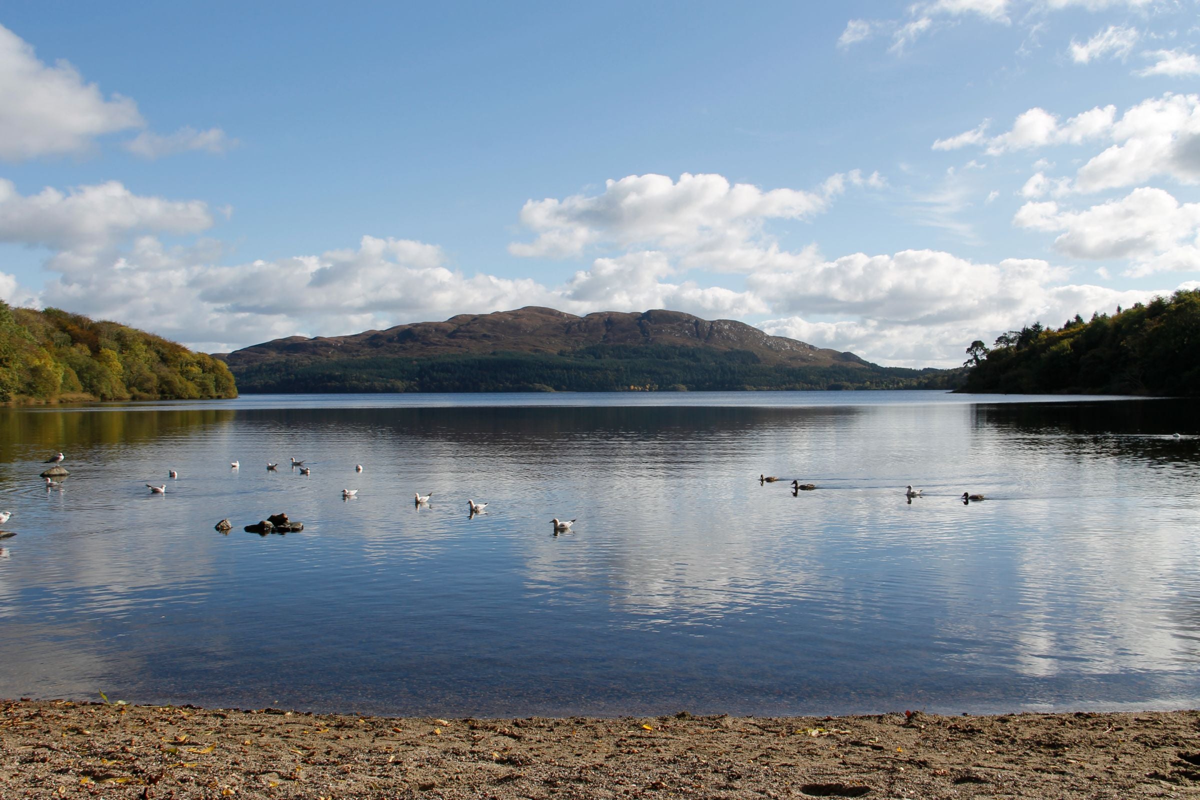 Renting in Sligo: Coastal Living & Rental Options