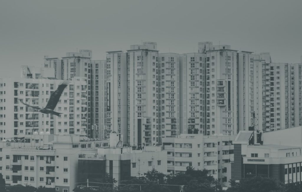 Average Rent Prices in Dublin 15: 2025 Market Report